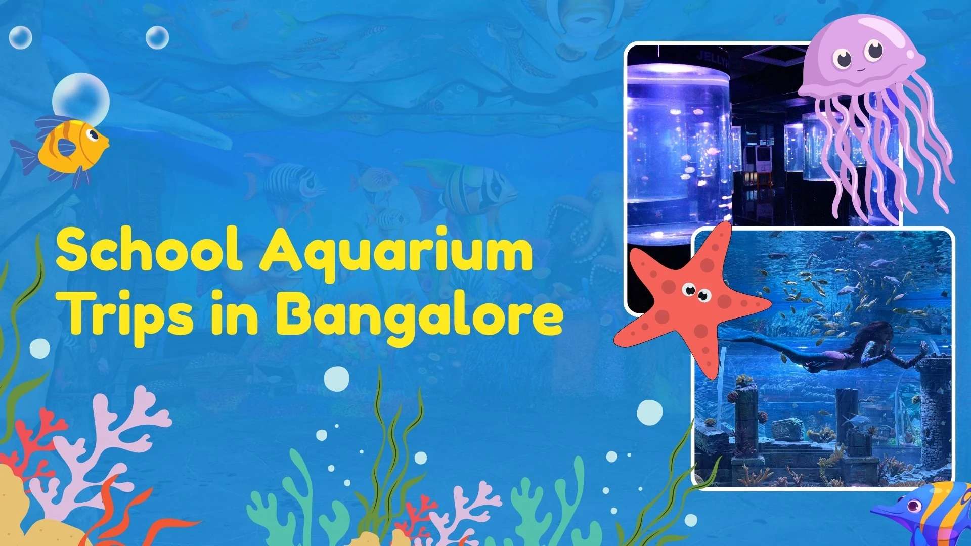 School Aquarium Trips in Bangalore: Learning, Timing & Plan (2026)